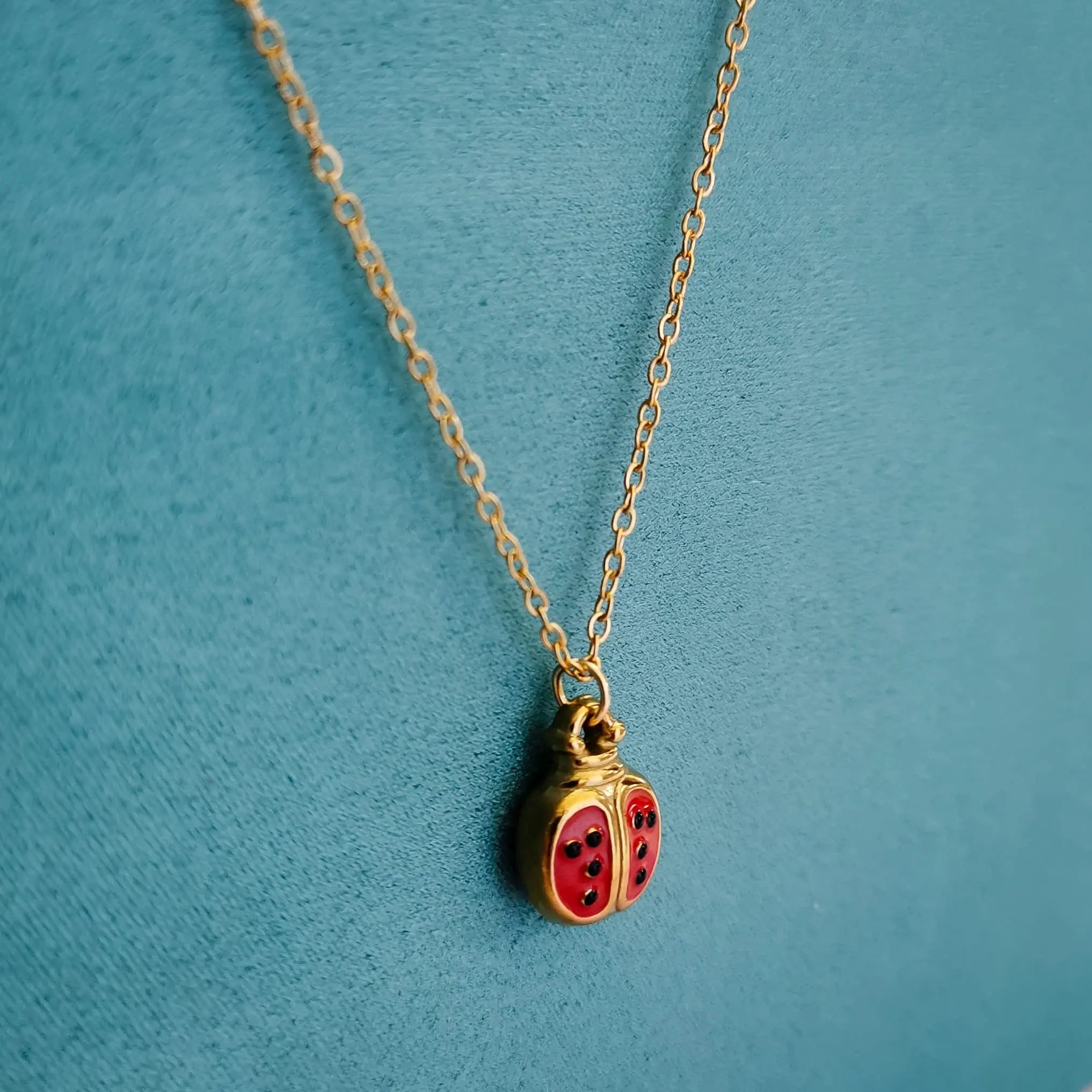 Fio mini joaninha PAMPA MIA ®